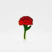 ǰ̹