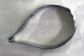 ǰ